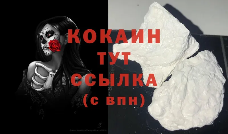 это наркотические препараты  Ижевск  Cocaine Fish Scale  купить наркоту 